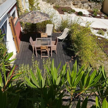 Grand Studio Des Rivages Cathares Carcassonne Eksteriør bilde