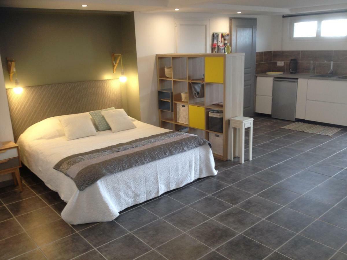 Grand Studio Des Rivages Cathares Carcassonne Eksteriør bilde